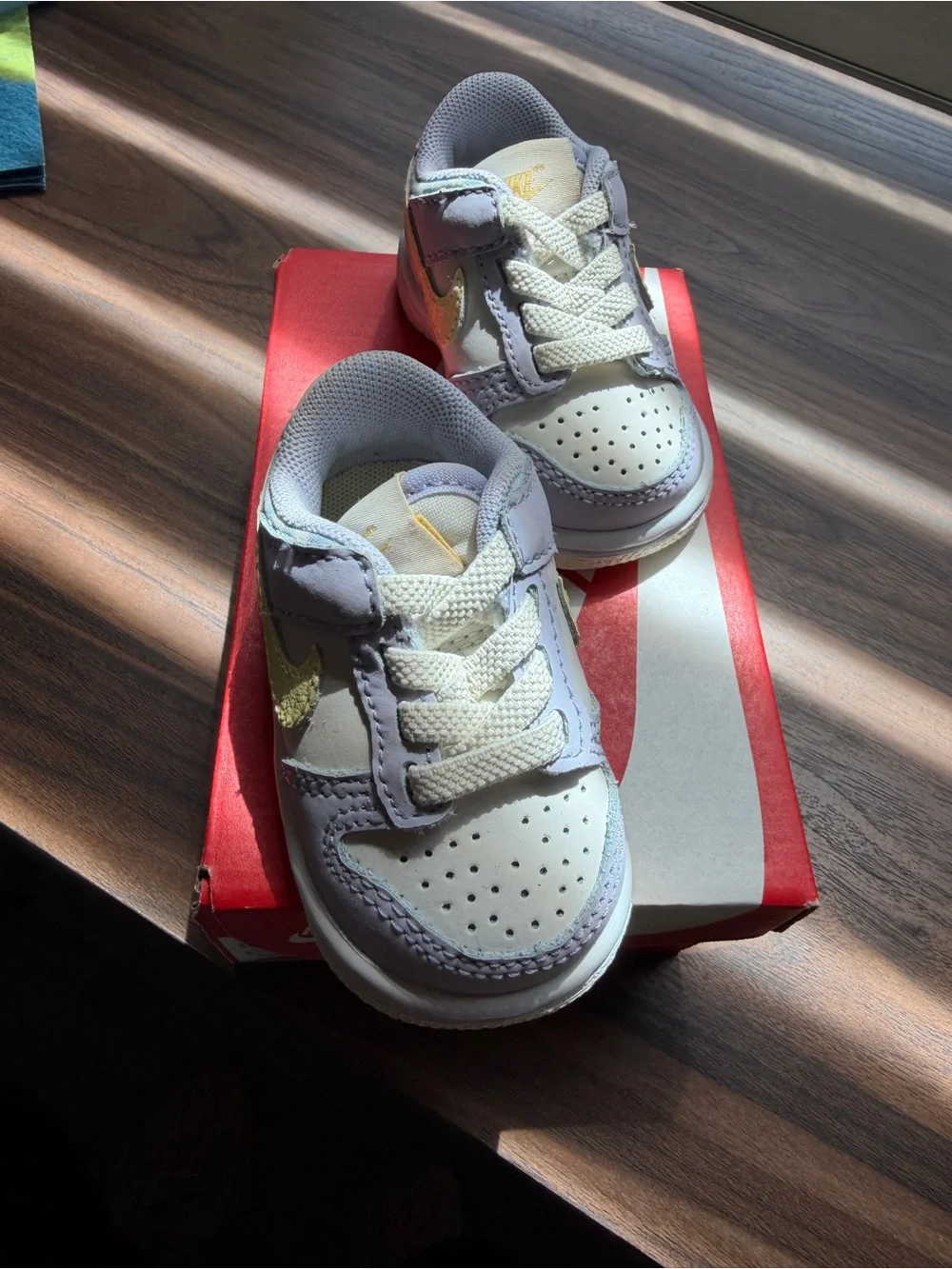 Nike Dunk Kids Low-Top Sneakers/ Box 2C